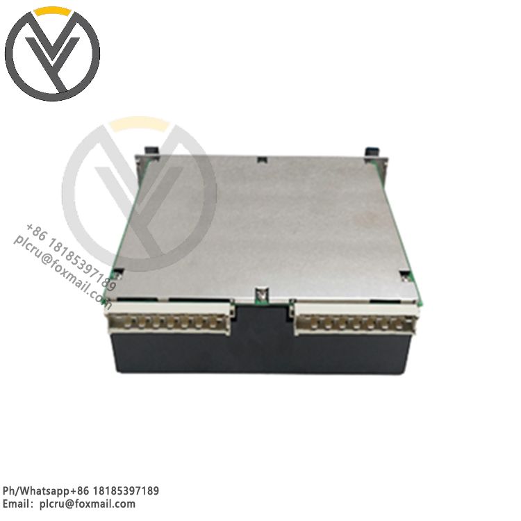 Vibro-meter VM600-RPS6U/113-40060 Mechanical protection card