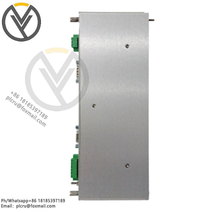 125768-01 Bently Nevada RIM I/O module